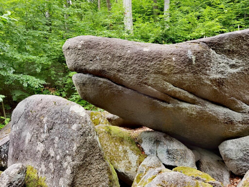 Erkennst du den Felsenmeer Delfin oder ist es ein Krokodil? Es gibt einige sagenhafte Steine zu entdecken!