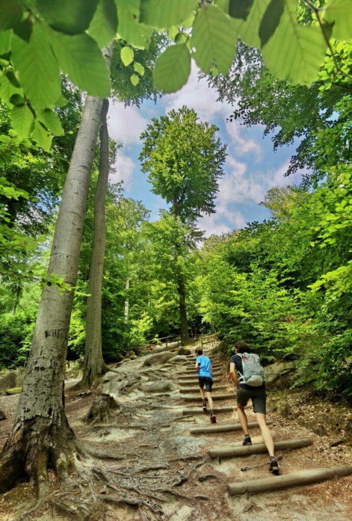 Unsere Empfehlung für deine Felsenmeer Wanderung: Mach den großen Felsenmeer Weg!