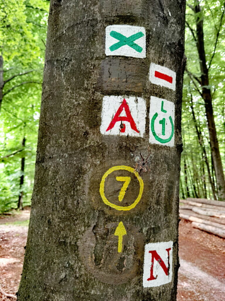 Felsenmeer Wanderung