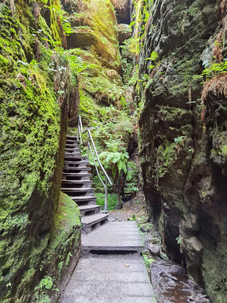 Diese Felsen bilden die Schwedenlöcher in der Sächsischen Schweiz