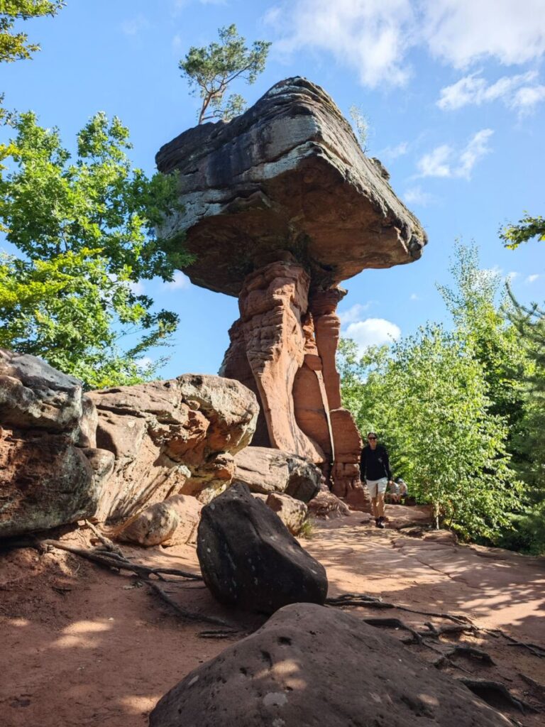 Teufelstisch in der Pfalz